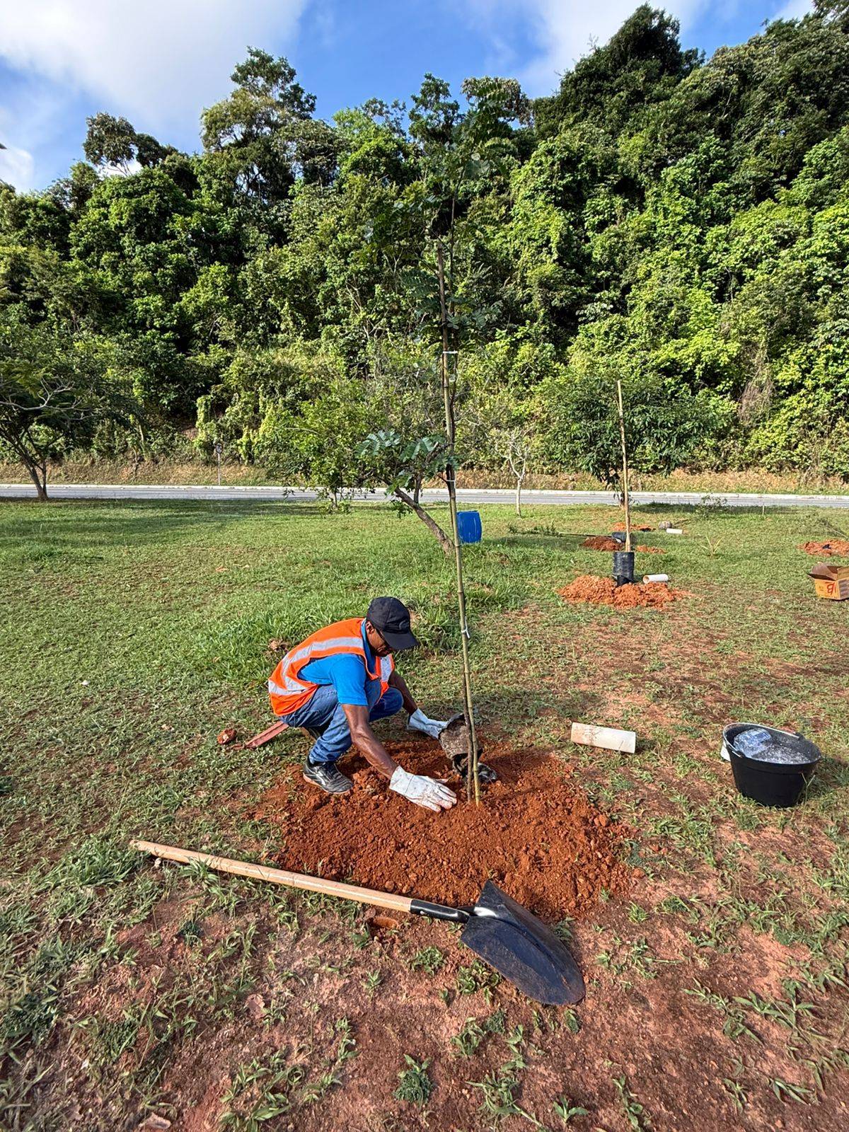 Compensação ambiental — execução de covas